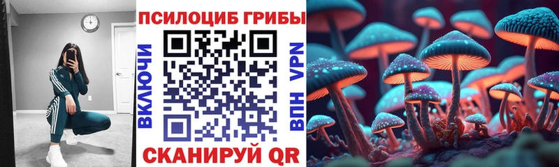 закладка  Торопец  Псилоцибиновые грибы Magic Shrooms 